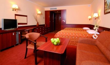 Sale weselne - Hotel Lidia SPA & Wellness - SalaDlaCiebie.com - 15