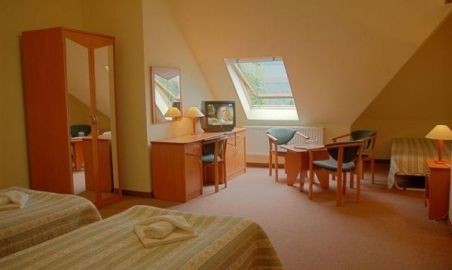 Sale weselne - Hotel Bosman - SalaDlaCiebie.com - 11