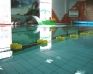 Sale weselne - HOTEL TRAWA - SalaDlaCiebie.com - 3