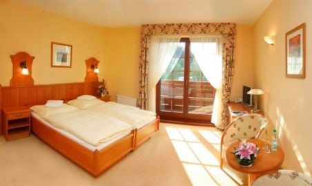 Sale weselne - Hotel Alpejski - SalaDlaCiebie.com - 10