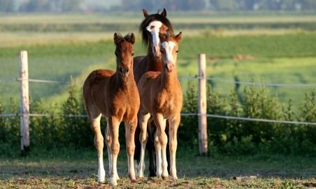 Sale weselne - Gościniec Żurawiejka - SalaDlaCiebie.com - 3