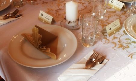 Sale weselne - Pałac Mojęcice - SalaDlaCiebie.com - 6