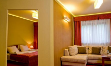 Sale weselne - Hotel Pass - SalaDlaCiebie.com - 8