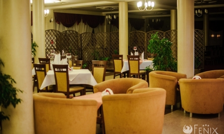 Sale weselne - Hotel i Restauracja Fenix*** - SalaDlaCiebie.com - 8