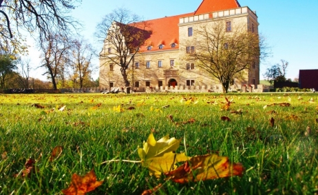 Sala weselna - Sale weselne - Uroczysko Siedmiu Stawów - 5e5e2c56625f0pb043837_1920x14402590070090.jpg - www.SalaDlaCiebie.com Sale weselne w Uroczysko Siedmiu Stawów, Niemcza